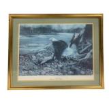 "American Bald Eagle" Framed Print Signed -