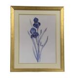 Framed Watercolor - Signed - 24.5 x 30.5