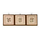 3 Framed Prints - 16 x 19 each