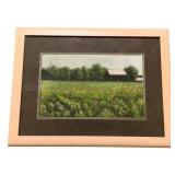 Framed Print - 24.5 x 32