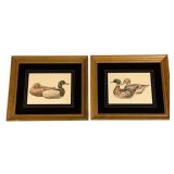 2 Framed Prints - 14.5 x 16.5