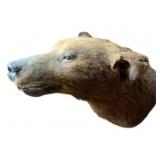Bear Head Taxidermy Mount 28"x20"x20"