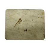 Antique White Marble Top 18"x14"