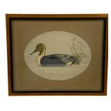 Framed Duck Print - 17.5 x 14