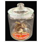 Squirrel Brand Peanuts Glass Jar - 10 x 7
