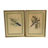 2 Framed Bird Prints - Signed - 29 x 21