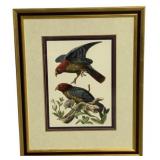 Framed Print - 34 x 28
