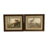 2 Framed Prints - 12 x 14