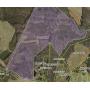 49+ Acres of 90% Wooded Land, Chatham, VA 24531
