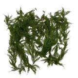9 Cedar Garland w/ Berries - 6ft