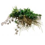 Assorted Greenery Stems - 34" Tall