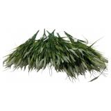 Artificial Grass w/ Plume Stems - 22" Tall