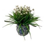 Floral Arrangement in Blue & White Planter