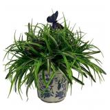 Faux Greenery in Blue/White Planter - 16 x 17