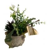 Artificial Plant in Planter - 10 x 10 x 8