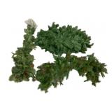 Assorted Greenery