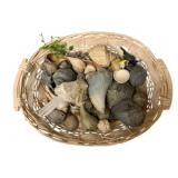 Basket w/ Seashells