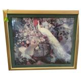 Framed Bird Print - 37 x 41.5