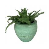Artificial Fern Sprigs & Crackle Finish Planter
