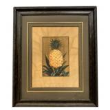 Framed Artwork - Signed - 30.5 x 25