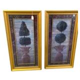 2 Framed Print - 42 x 24.25