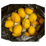 Lot of Artificial Lemons