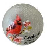 Cardinal Appears Glass LED Globe - 6" Round