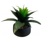 Succulent in Metal Planter - 15 x 20 x 16