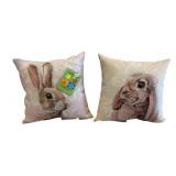 2 Climaweave Indoor/Outdoor Pillows - 10 x 10