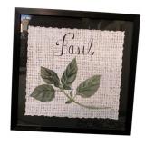 Framed Basil Herb on Burlap Paper - 22 x 22 x 2