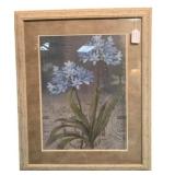 Framed Picture - 28 x 34