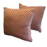 2 Decorative Pillows - 20 x 20