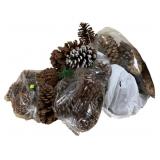 Assorted Pinecones