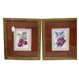 2 Framed Plum Pictures - 20 x 23.5