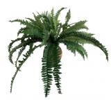 Faux Fern Sprays in Vase - 23 x 28 x 28