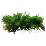 Assorted Artificial Greenery - 21" Tall