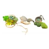 Assorted Succulent & Sea Shell Items