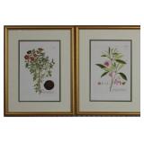 Botanical Set of 2
