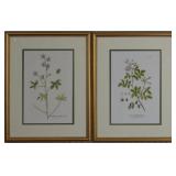 Botanical Set of 2