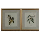 Set of Warblers by John J Audubon
