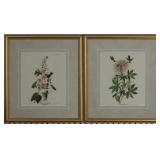 Set of Hummingbirds by John J Audubon