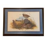 Framed Print, signed - 28.5 x 38