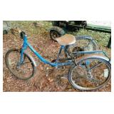 3-Wheel Cycle w/ Basket - Sears Free Spirit