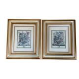 2 Framed Floral Month Prints - 19 x 16