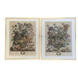 2 Framed Floral Month Prints - 20 x 16