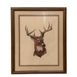 Framed Print - 25 x 20.5