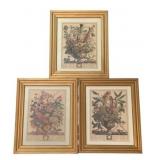 3 Framed Floral Month Prints - 12 x 10