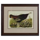 HEN AND YOUNG BY JOHN J AUDUBON