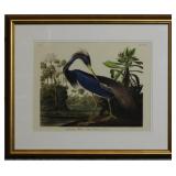 LOUISIANA HERON BY JOHN J AUDUBON