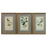 SET OF 3 ANTIQUE BIRDS BY JOHN AUDUBON